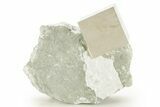 Natural Pyrite Cube In Rock - Navajun, Spain #361869-1